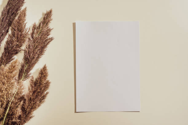 تصویر 4 از قیمت خرید کاغذ A4 کپی مکس پرمیوم  90 گرمی و فروش ویژه